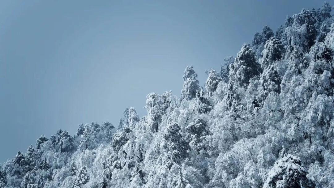 以撒的结合：胎衣