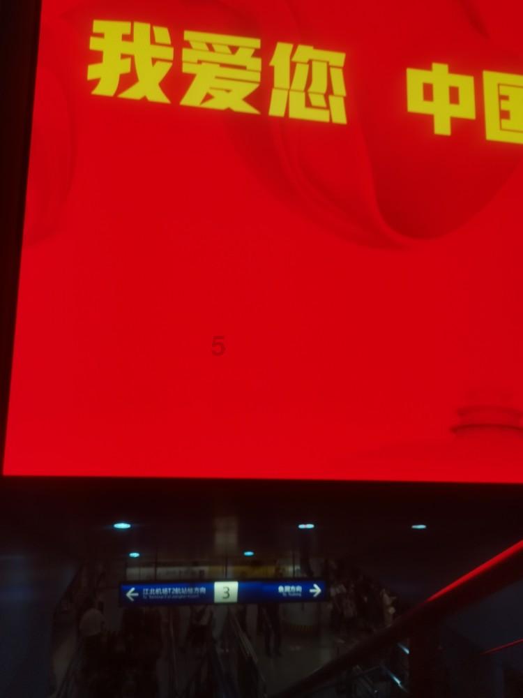 泡沫森林